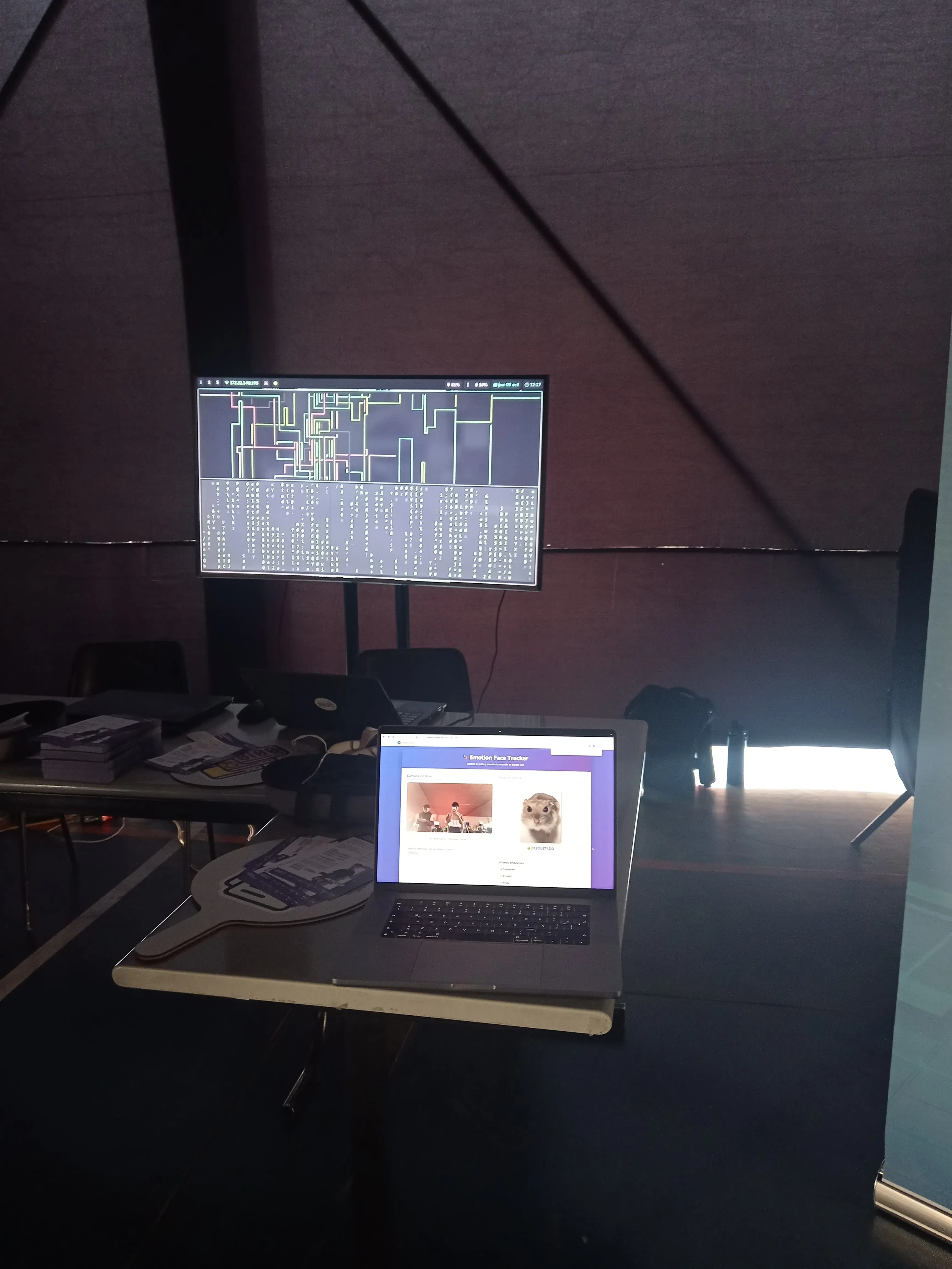 Demostración en feria de plaza